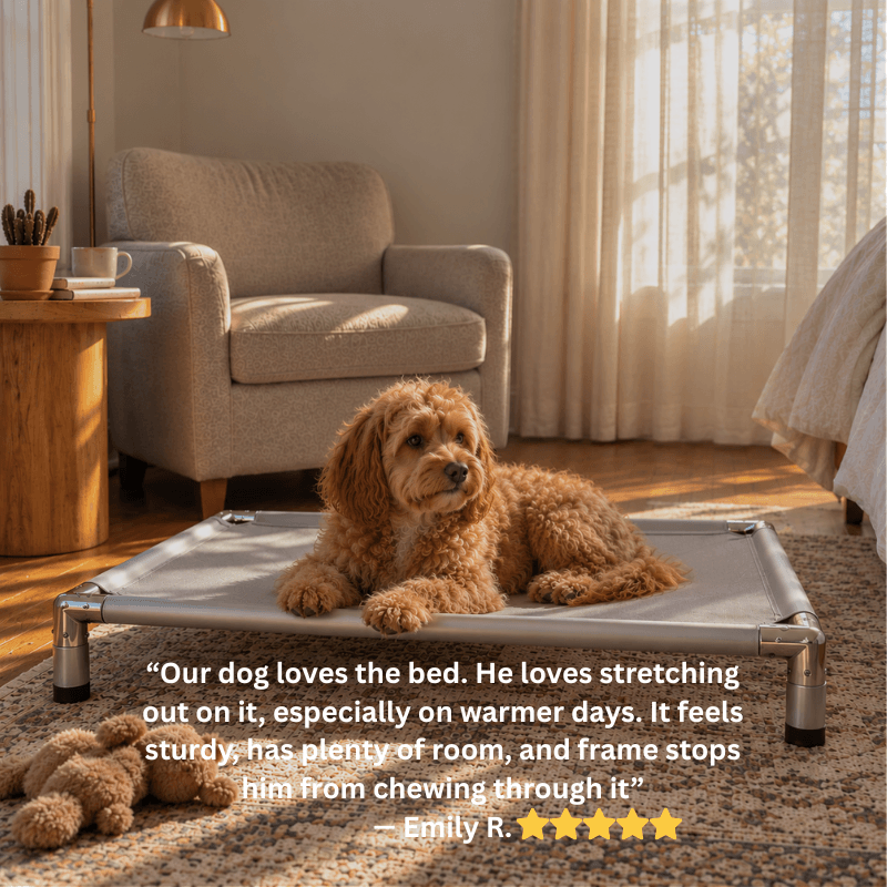 Pawse&Co™ Chew-Resistant Dog Bed - Heavy Duty