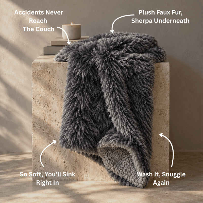 Pawse&Co™ Premium Bundle