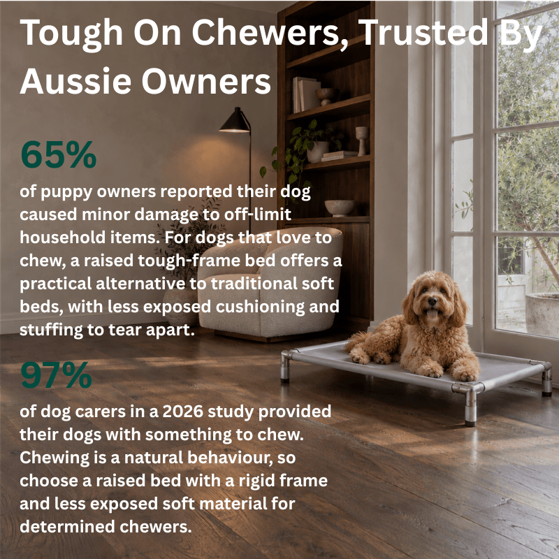 Pawse&Co™ Chew-Resistant Dog Bed - Heavy Duty