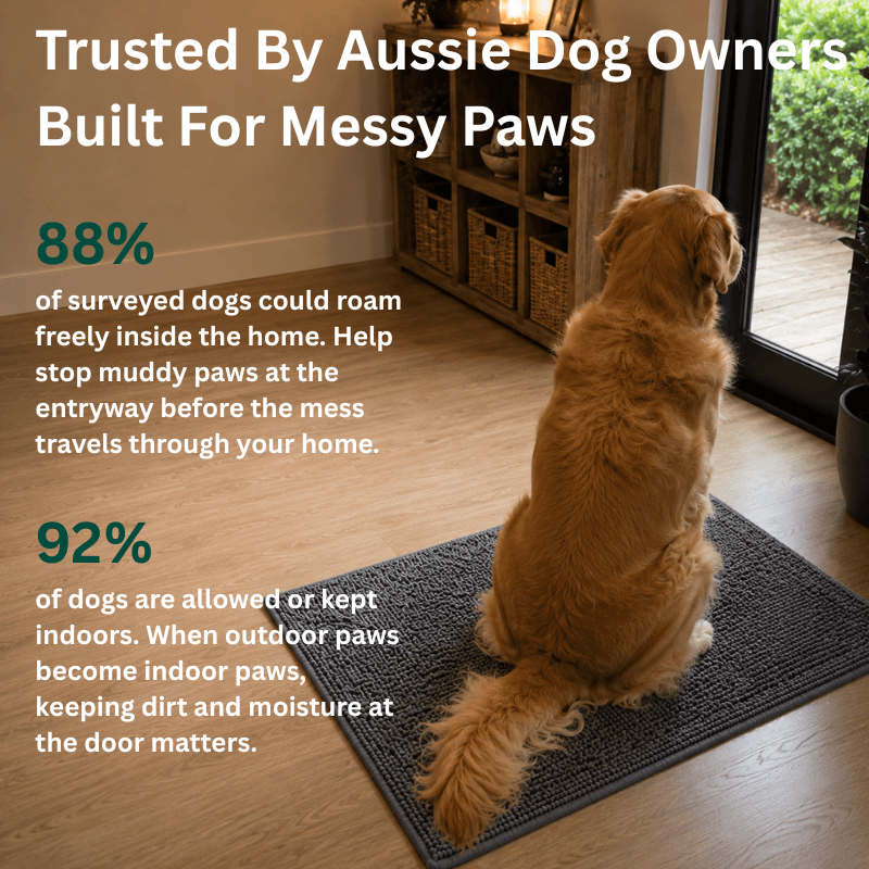 Pawse&Co™ PawGuard Anti-Mud Dog Door Mat