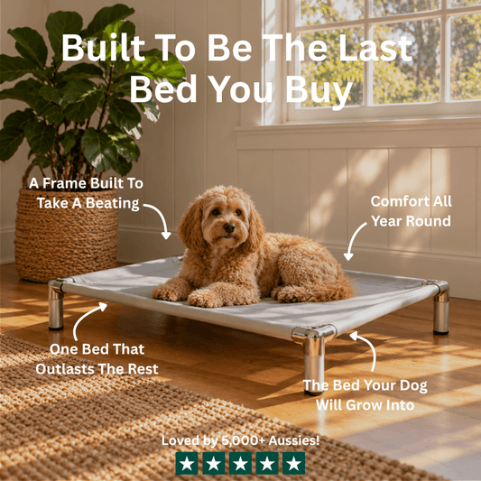 Pawse&Co™ Chew-Resistant Dog Bed - Heavy Duty